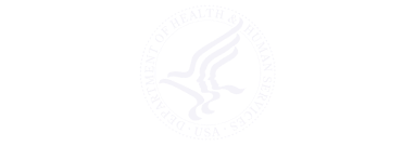 Custom Software Solutions